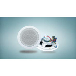 Kалонки-yсилитель  